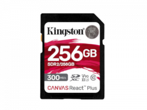 Kingstone Canvas React Plus