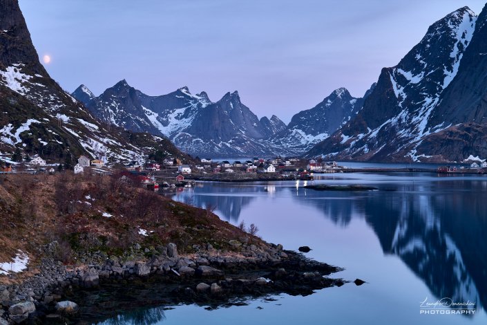 Reine