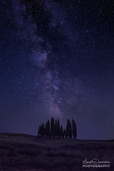Val D'Orcia Cypresses Trees