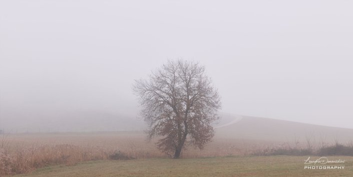 Val D'Orcia