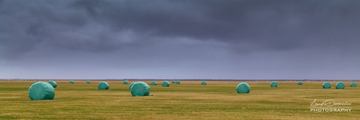 Hay bales