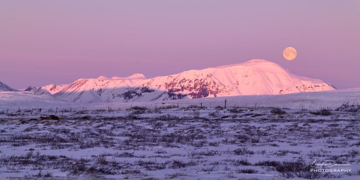 Full Moon Sunset