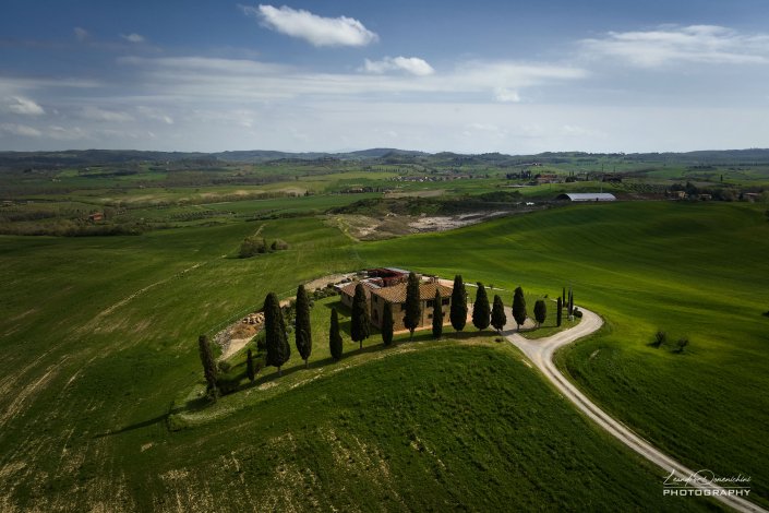 The House Of The Cypresses