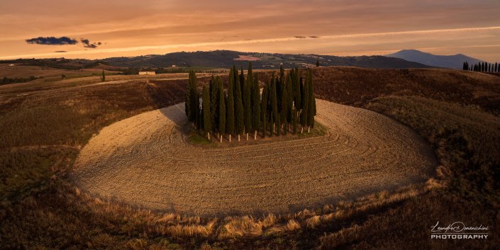 Val D'Orcia Cypresses Trees