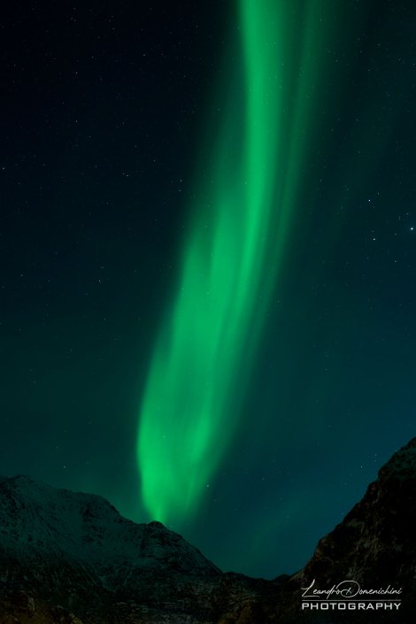 Northern Lights