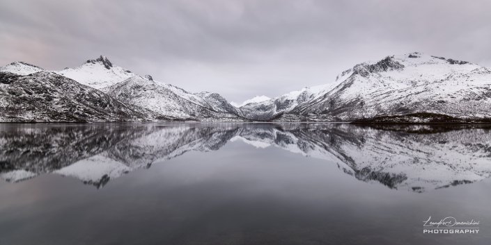 Straumsoya - Vatterfjordpollen