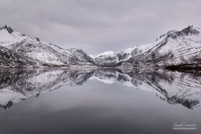 Straumsoya - Vatterfjordpollen