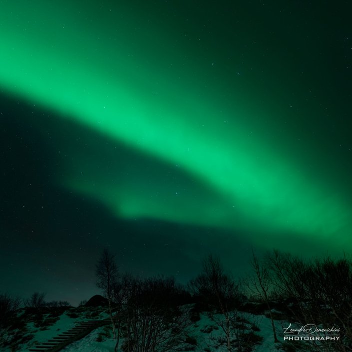 Northern Lights in Austnesfjorden