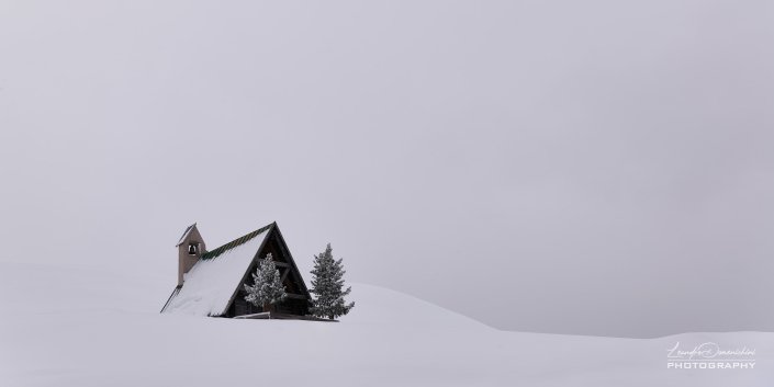 Into the snow