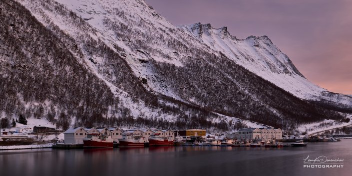 Port of Husøy