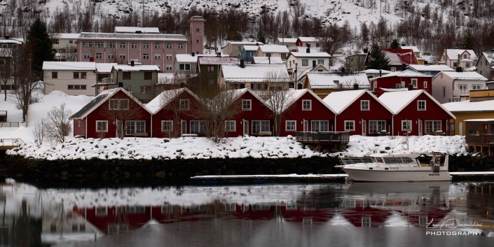 Red houses of Gryllefjord