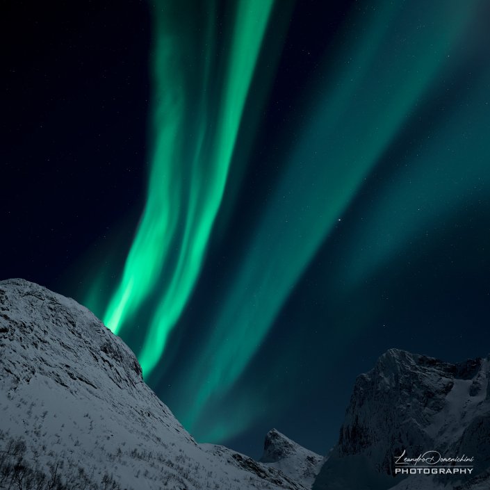 Northern Lights