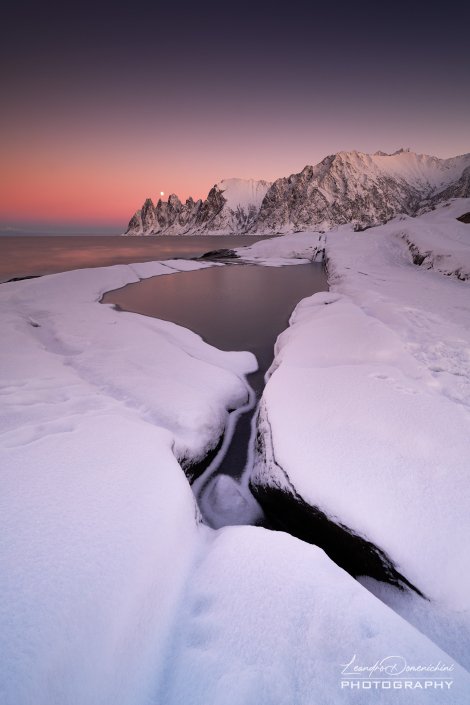 Tungeneset