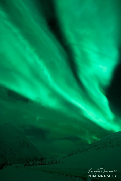 Northern Lights near Kattfjordeidet